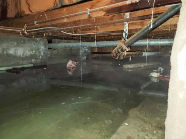 Water damage restoration mold remediation in Loch Lomond, VA
