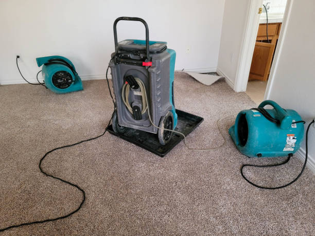 Best Flood restoration services  in Loch Lomond, VA