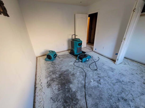 Best 24/7 water damage repair  in Loch Lomond, VA