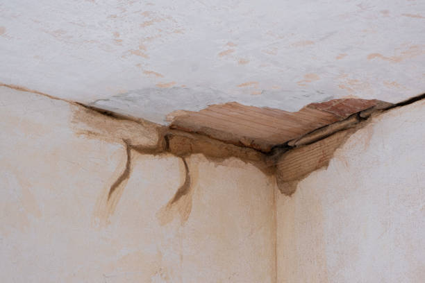 Best 24-hour water damage restoration  in Loch Lomond, VA