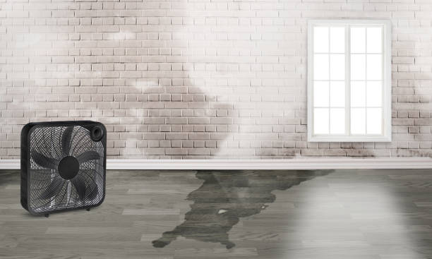 Best Water damage restoration near me  in Loch Lomond, VA