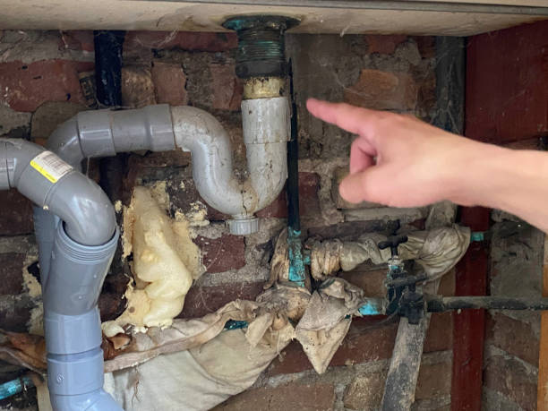 Best Fire Damage Restoration  in Loch Lomond, VA