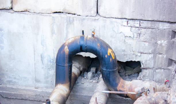 Best Water damage restoration mold remediation  in Loch Lomond, VA