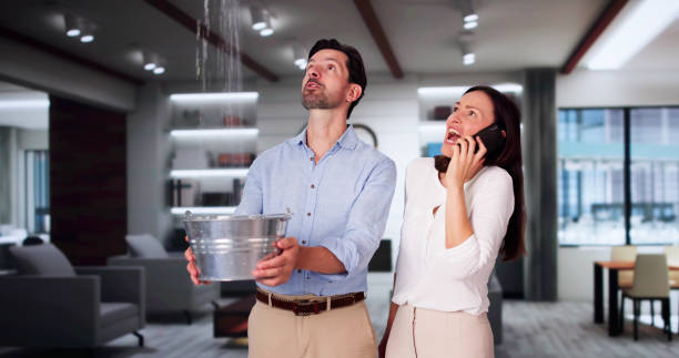 Best Professional water damage repair  in Loch Lomond, VA